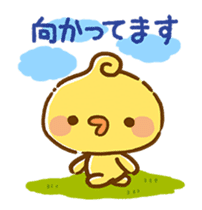 Piyomaru's Spring Vacation sticker #14716020