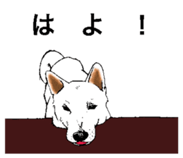 White HAKATA Dog sticker #14717129