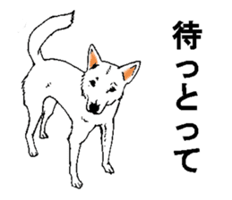 White HAKATA Dog sticker #14717131