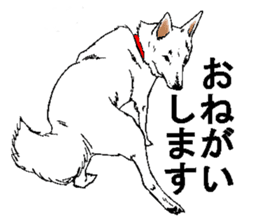 White HAKATA Dog sticker #14717135