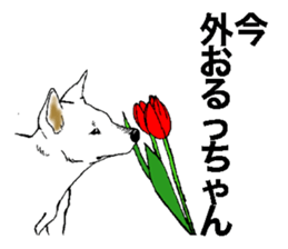 White HAKATA Dog sticker #14717147