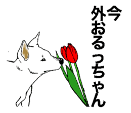 White HAKATA Dog sticker #14717147