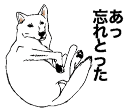 White HAKATA Dog sticker #14717152