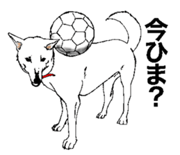 White HAKATA Dog sticker #14717157