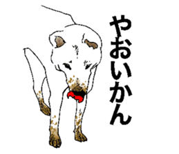 White HAKATA Dog sticker #14717162