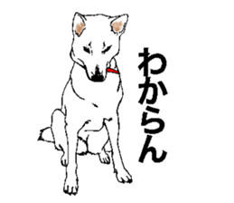 White HAKATA Dog sticker #14717164