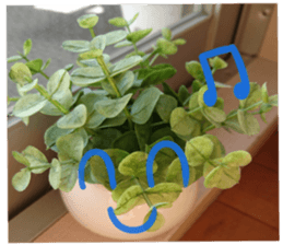 Plants and facial expressions sticker #14717598