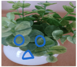 Plants and facial expressions sticker #14717600