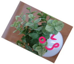 Plants and facial expressions sticker #14717608