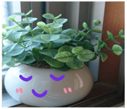 Plants and facial expressions sticker #14717612