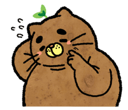 Catato sticker #14720905