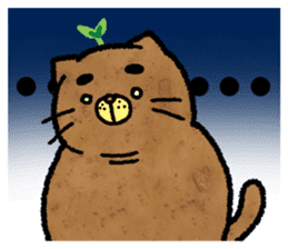 Catato sticker #14720906