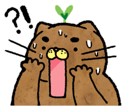 Catato sticker #14720914