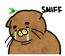 Catato sticker #14720916