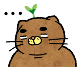 Catato sticker #14720920