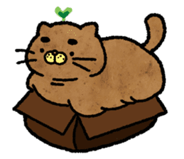Catato sticker #14720925