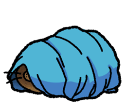 Catato sticker #14720926