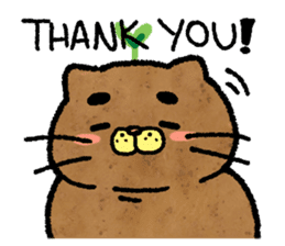 Catato sticker #14720933