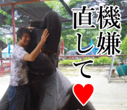 THE YUTA sticker #14721209