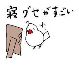 Childish Java sparrow. sticker #14722723