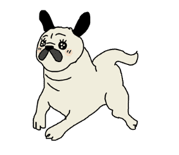 Daily routine of Pug sticker #14723283