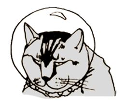 The universe Cat sticker #14724587
