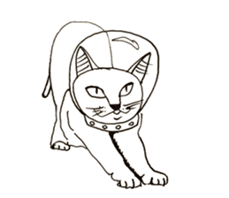 The universe Cat sticker #14724605