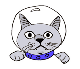 The universe Cat sticker #14724606
