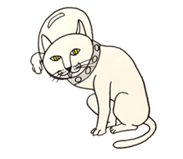 The universe Cat sticker #14724607