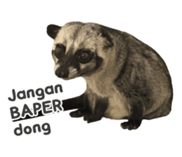 Mumu the Cute Asian Palm Civet 2 sticker #14724974