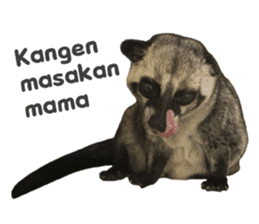Mumu the Cute Asian Palm Civet 2 sticker #14724975