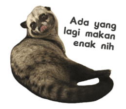 Mumu the Cute Asian Palm Civet 2 sticker #14724977