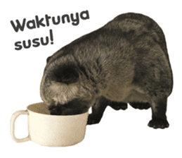 Mumu the Cute Asian Palm Civet 2 sticker #14724978