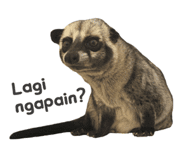 Mumu the Cute Asian Palm Civet 2 sticker #14724979