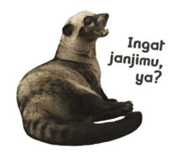 Mumu the Cute Asian Palm Civet 2 sticker #14724981