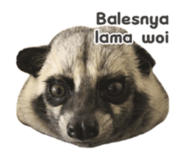Mumu the Cute Asian Palm Civet 2 sticker #14724982