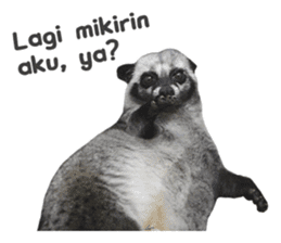 Mumu the Cute Asian Palm Civet 2 sticker #14724983