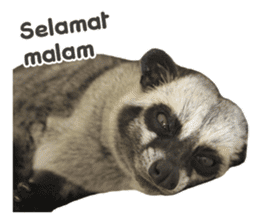 Mumu the Cute Asian Palm Civet 2 sticker #14724984
