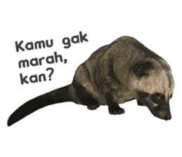 Mumu the Cute Asian Palm Civet 2 sticker #14724985