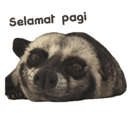 Mumu the Cute Asian Palm Civet 2 sticker #14724986