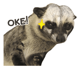 Mumu the Cute Asian Palm Civet 2 sticker #14724990