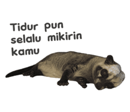 Mumu the Cute Asian Palm Civet 2 sticker #14724992