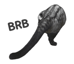 Mumu the Cute Asian Palm Civet 2 sticker #14724993