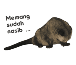 Mumu the Cute Asian Palm Civet 2 sticker #14724995
