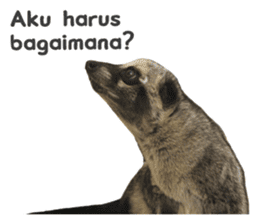 Mumu the Cute Asian Palm Civet 2 sticker #14724997