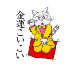 The pretty cat which is humor sticker #14725171