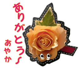 Ayaka Sticker only for flowers photos sticker #14725358