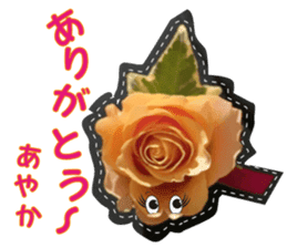 Ayaka Sticker only for flowers photos sticker #14725358