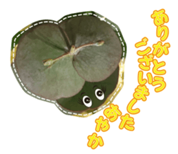Ayaka Sticker only for flowers photos sticker #14725360