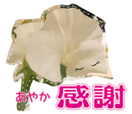 Ayaka Sticker only for flowers photos sticker #14725361